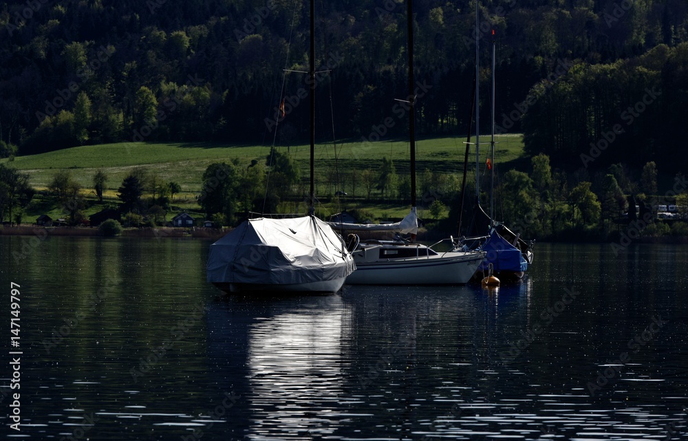 Obraz premium Greifensee