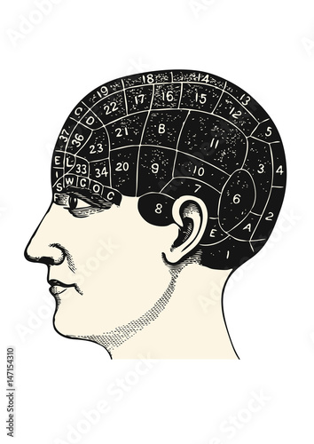 vintage medicine vector design element: regions of the human brain, retro phrenology illustration