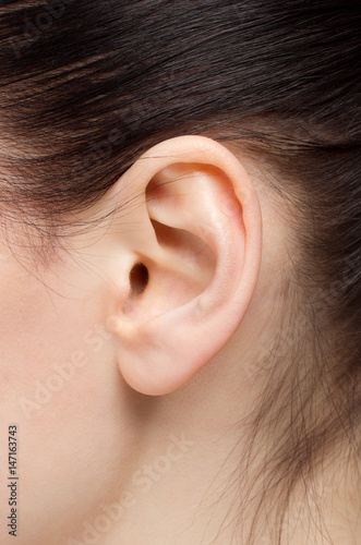 profile close ear