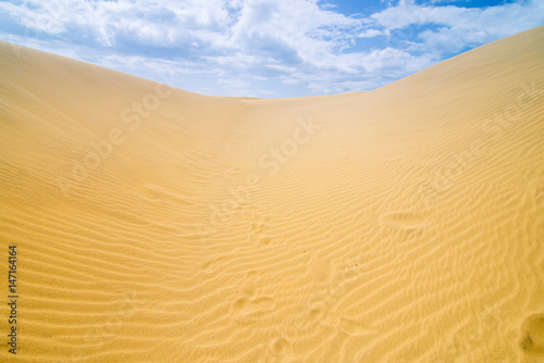 Desert landscape on a background of blue sky