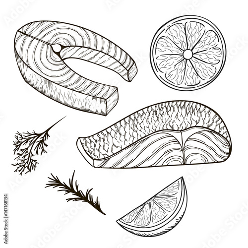 Set of vector sketches of the pieces of fish