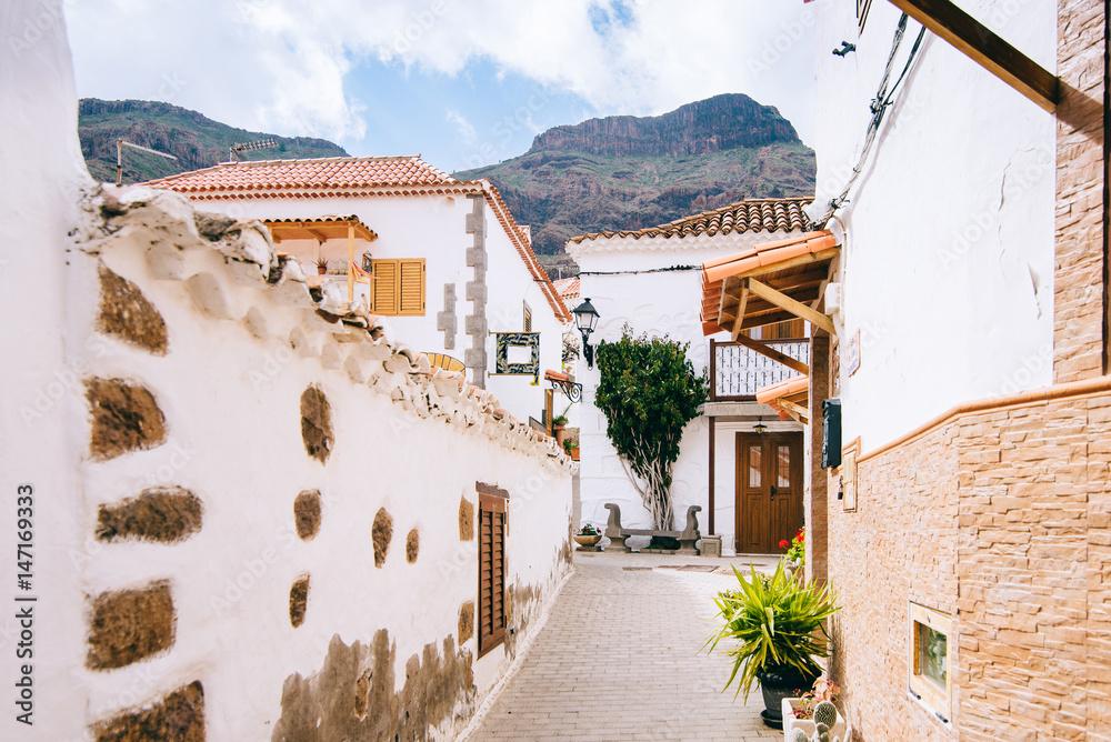 Cozy village with white houses and tiles on the background of mo