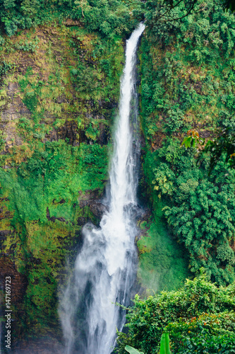 The view of majestic Tad Fane waterfall. Situated in Dong Houa Sao National Protected Area  Bolaven Plateau  Champasak Province  Laos  The water drops about 120 m.