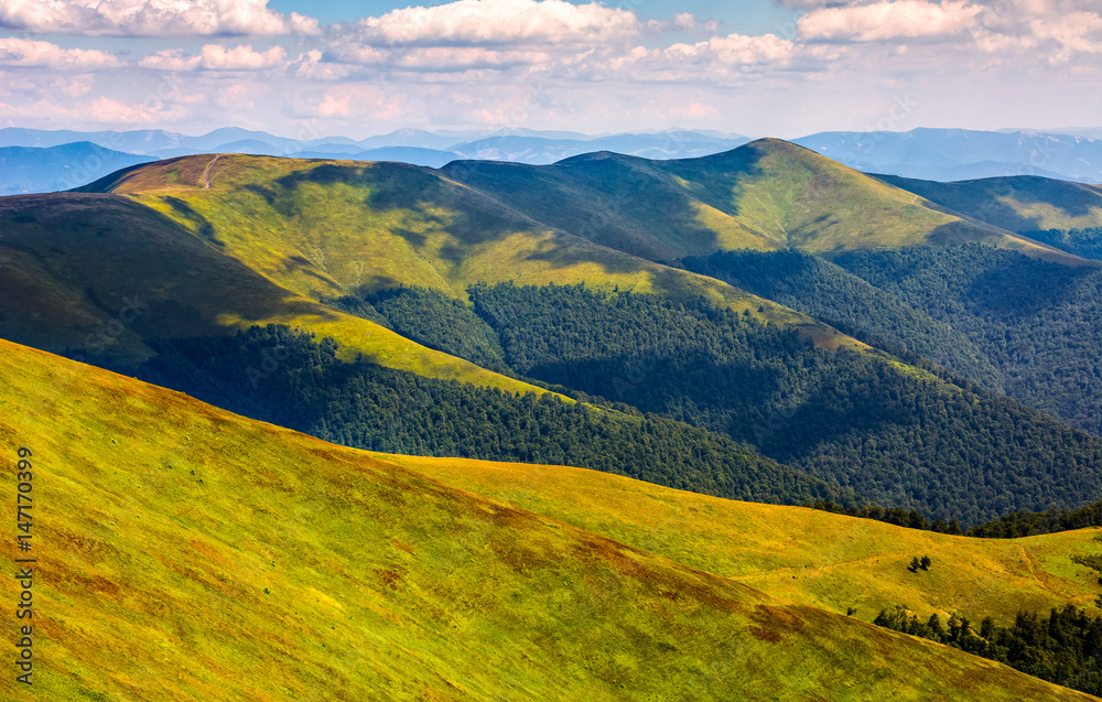Fototapeta premium grassy meadow on hillside of mountain ridge