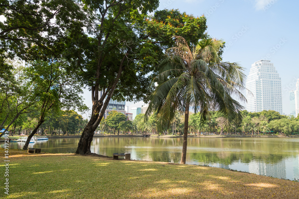 View of lawn, trees and lake at the Lumpini (Lumphini) Park in Bangkok, Thailand.