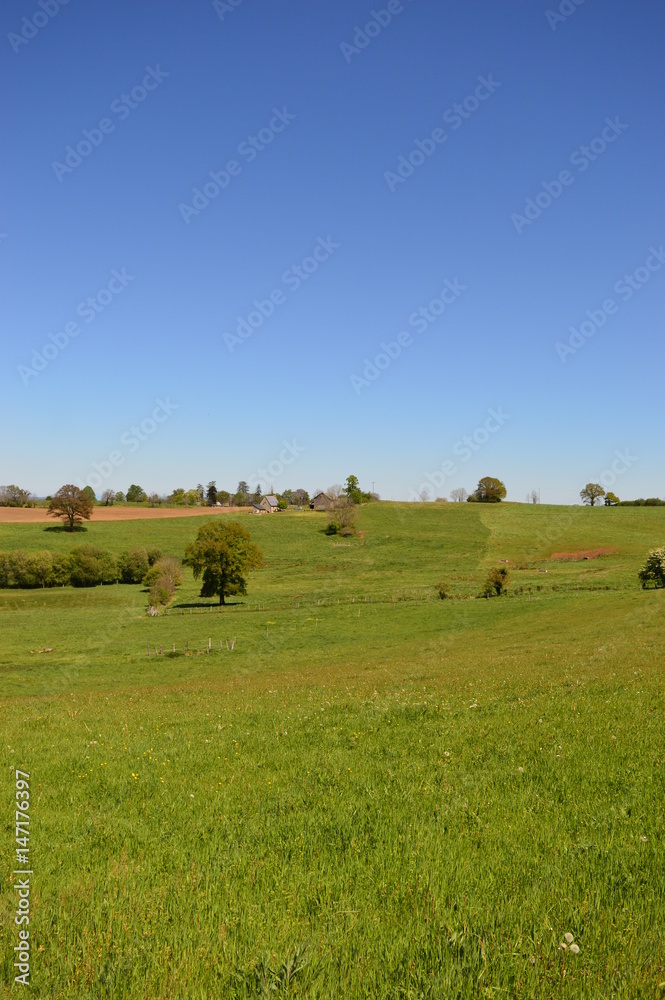 Paysage Limousin