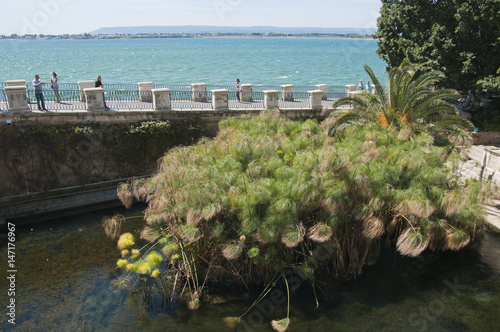 Fonte Aretusa, Syrakus, Sizilien, Italien