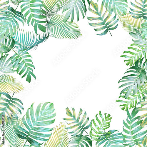 Tropical background with Monstera philodendron and palm leaves in light green-yellow color tone, tropical leaves frame on white background.