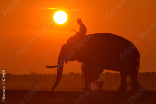 Big sun in sunrise,Sun and elephant on during sunrise focus on Sun,Sun on during sunrise,White balance orange on sunrise