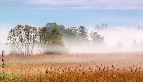 Fototapeta Naklejka Na Ścianę i Meble -  mglisty poranek na Mazurach
