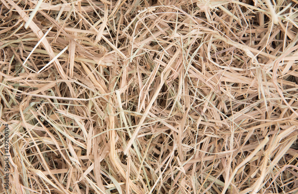Close up of straw background texture Close up of straw background texture