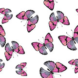 Vector butterflies pattern