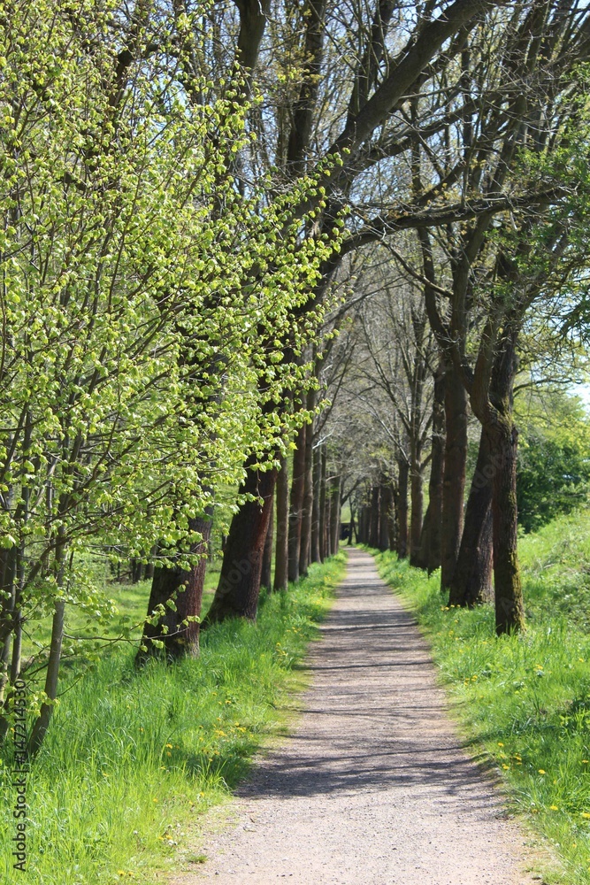 Frühjahr im Rhäden