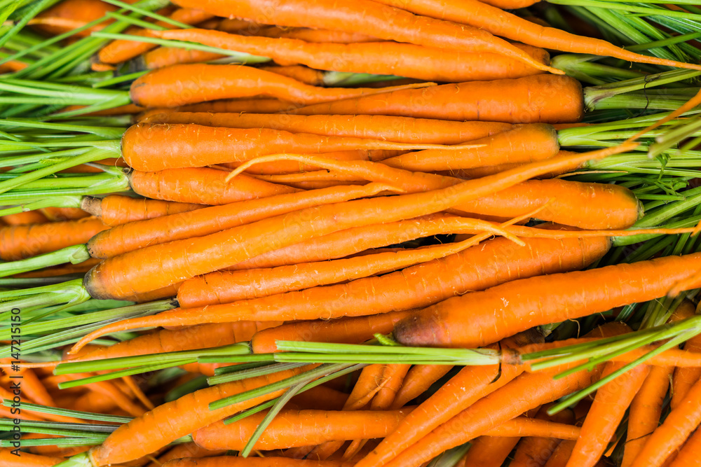 Baby Carrots. Fresh organic carrots Baby Carrots. Fresh organic carrots
