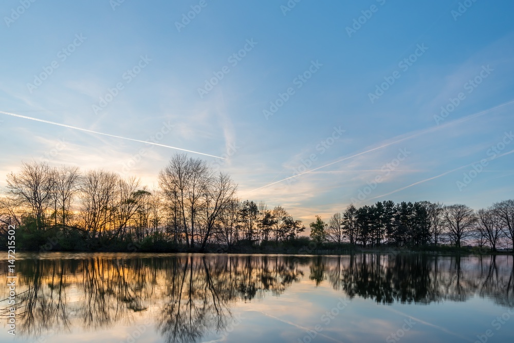 Evening scene with several trees on side of small pond