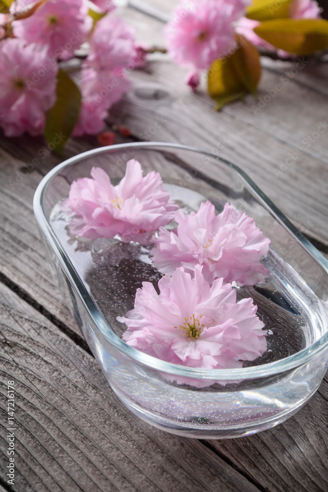 Gray wooden background with pink flowers Gray wooden background with pink flowers