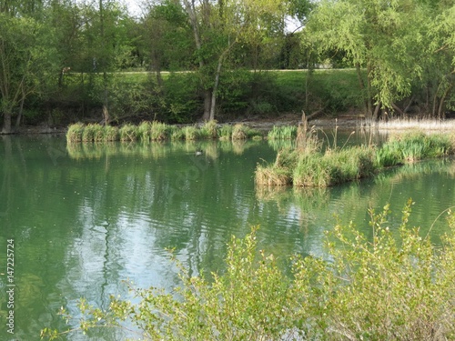 Centre-Val de Loire - Loiret - Saint-Jean-ke-Blanc - Ile Charlemagne - Etang