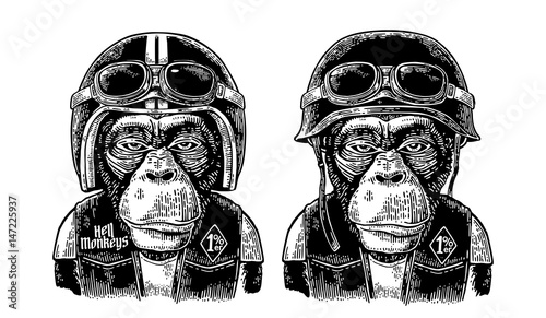 Monkey in the motorcycle helmet and glasses. Vintage black engraving