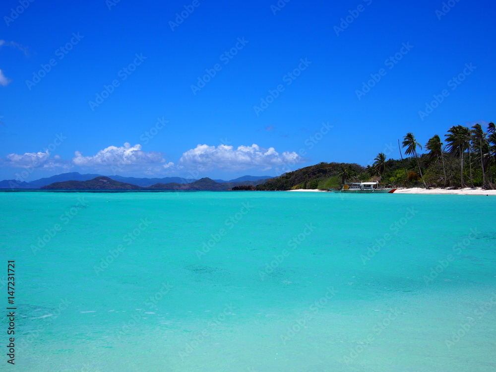 Fototapeta premium OLYMPUS DIGITAL CAMERA