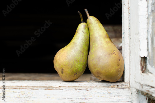 pair of pears