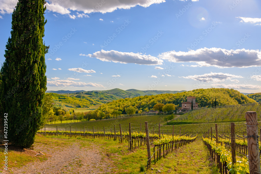 View of the countryside near the town of Radda with a vineyard and a villa.