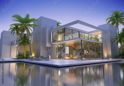 Huge modern villa with pool