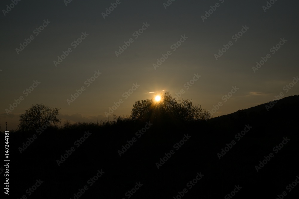 Sunset on meadow with hills and tree. Slovakia Sunset on meadow with hills and tree. Slovakia