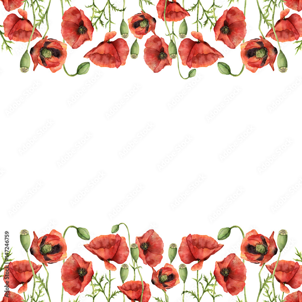 Fototapeta premium Watercolor floral border with poppies. Hand painted illustration with flowers, leaves, seed capsule and branches isolated on white background. For design, print and background