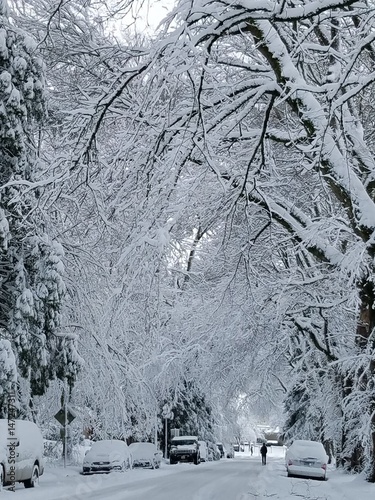 WinterinPDX2017_01