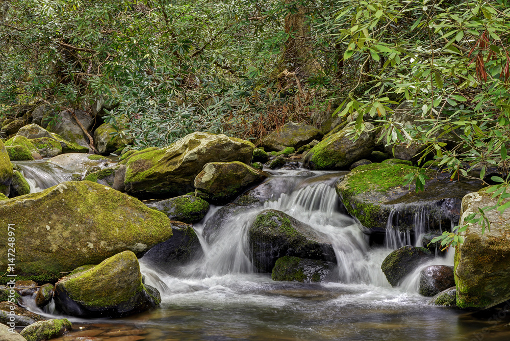 Smoky Mountains National Park Mossy creek cascade