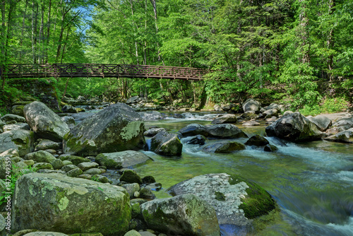 Smoky Mountains National Park Mossy creek cascade