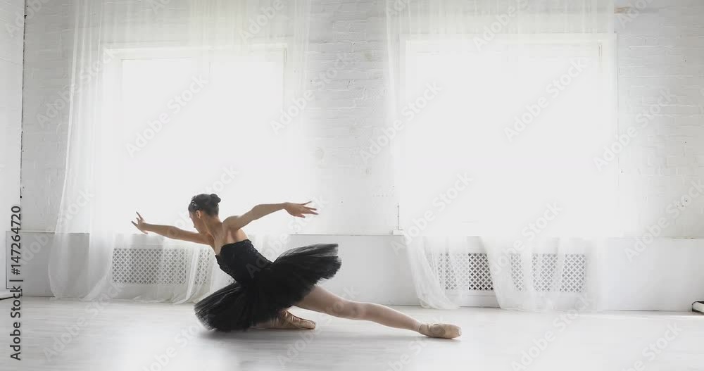 graceful girl practicing ballet in the Studio graceful girl practicing ballet in the Studio