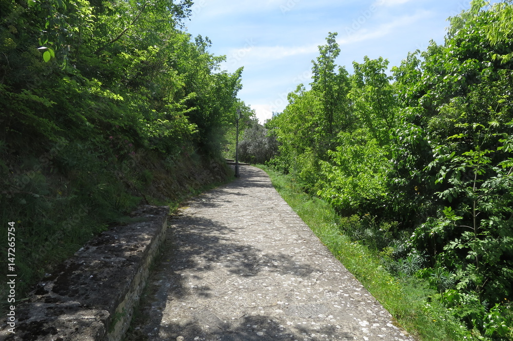 Naklejka premium Steet among trees