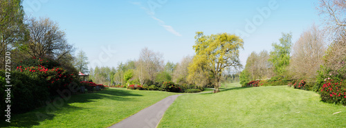 Fototapeta Naklejka Na Ścianę i Meble -  Panoramic view of spring garden in Northern Ireland
