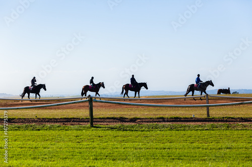 Race Horses Riders Silhouetted