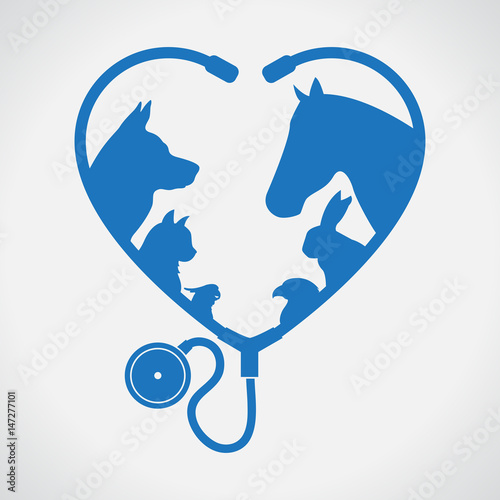 Cat and Dog. Horse and rabbit. Heart. Blue