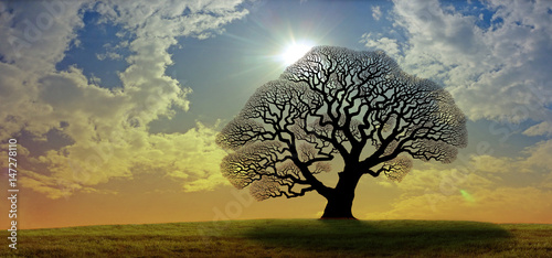 Mighty Oak Tree - a black silhouette of a large oak tree with no leaves against a gold and blue wide sky with bright sunburst behind the tree and copy space

