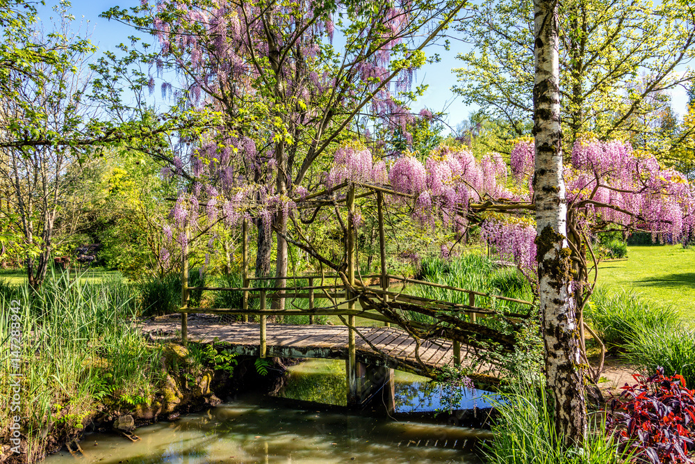 Petit pont de bois au jardin de Martel, Tarn, Midi-Pyrénées, France Stock  Photo | Adobe Stock