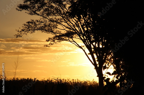 Sunset - A beautiful late afternoon