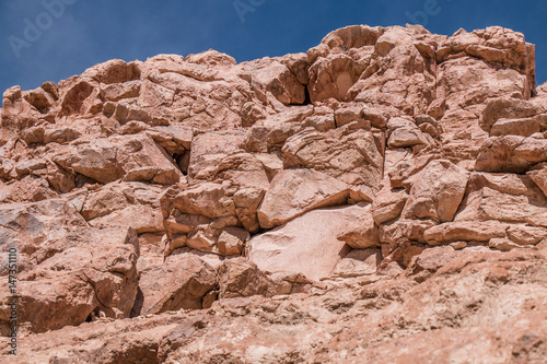 Petroglyphs at Jerez Oasis  Atacama Region  Chile.