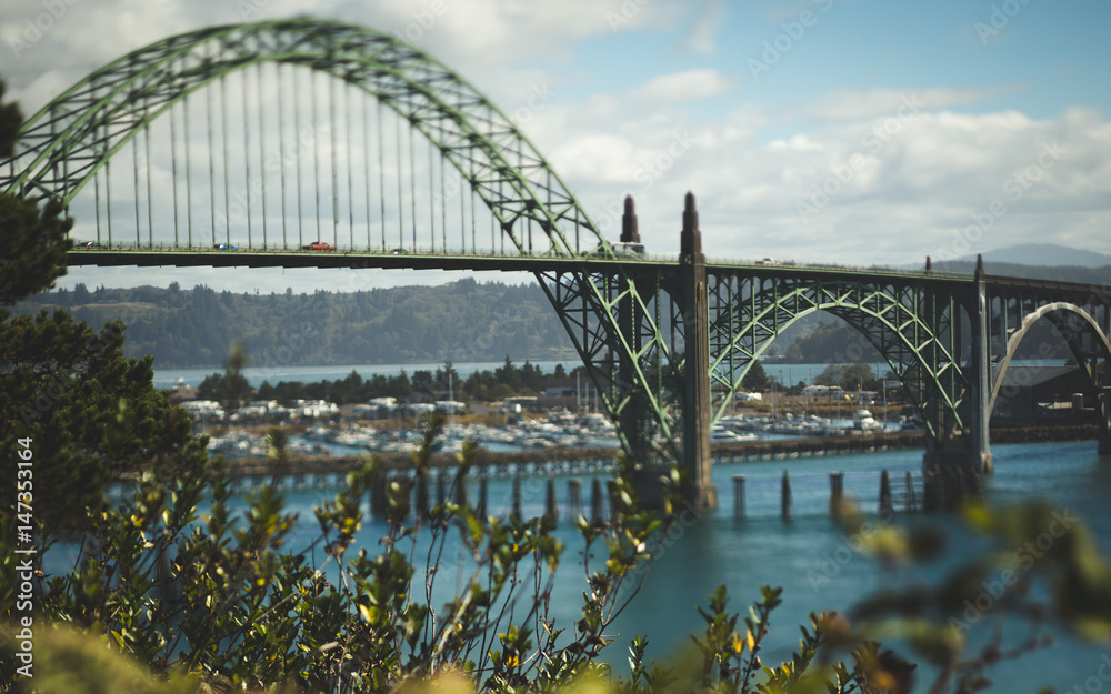 Obraz premium Arch Bridge Over River