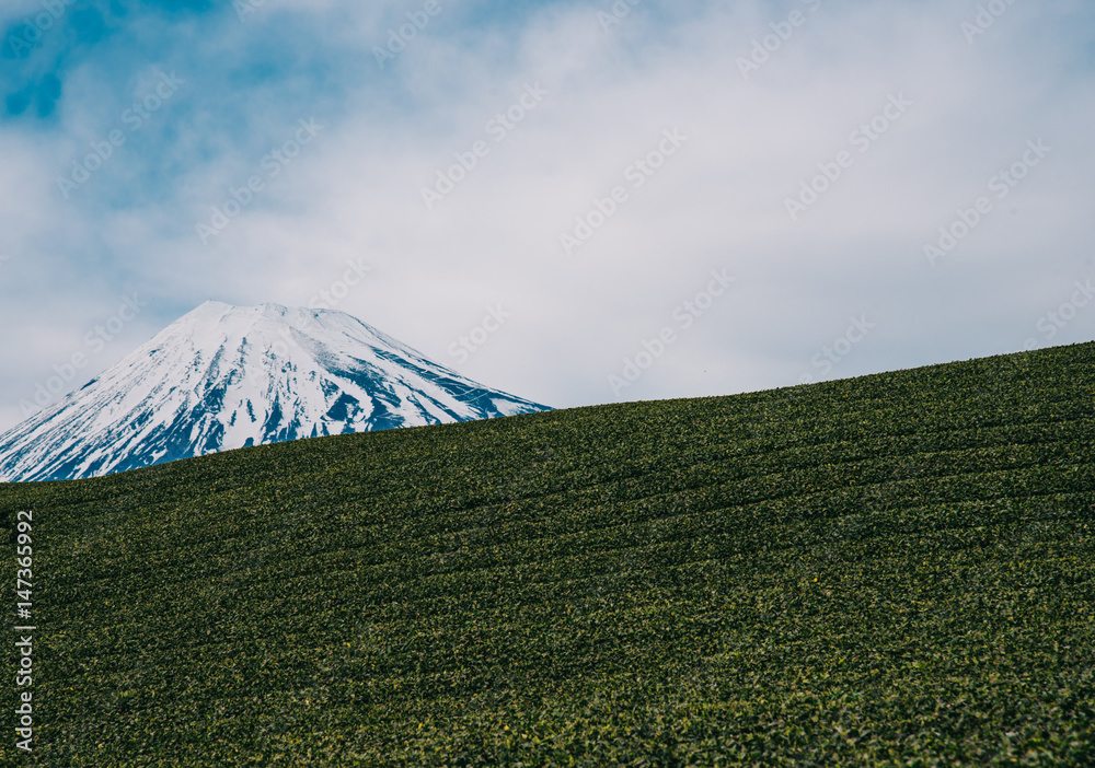 Mount Fuji of Japan,travel concept