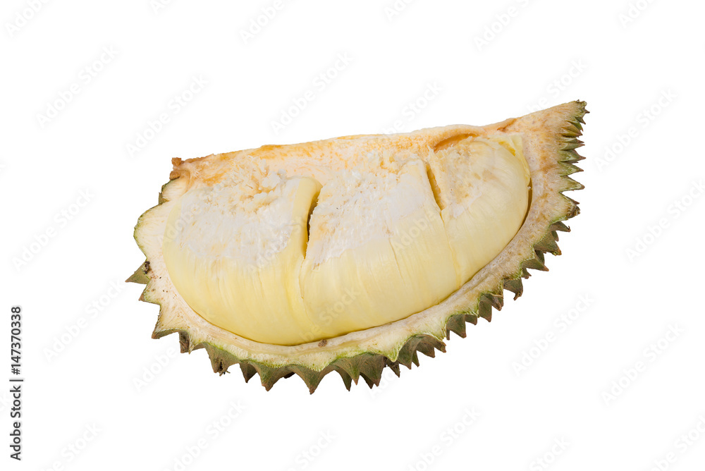 Fototapeta premium Durian isolated