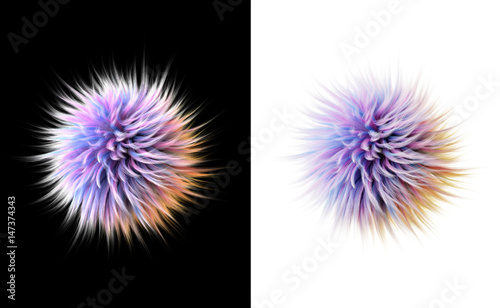 Multicolored Fluffy Balls Isolated on Black and White Background