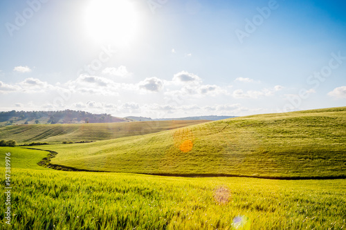 Paysage du Val d Orcia en Toscane au soleil couchant