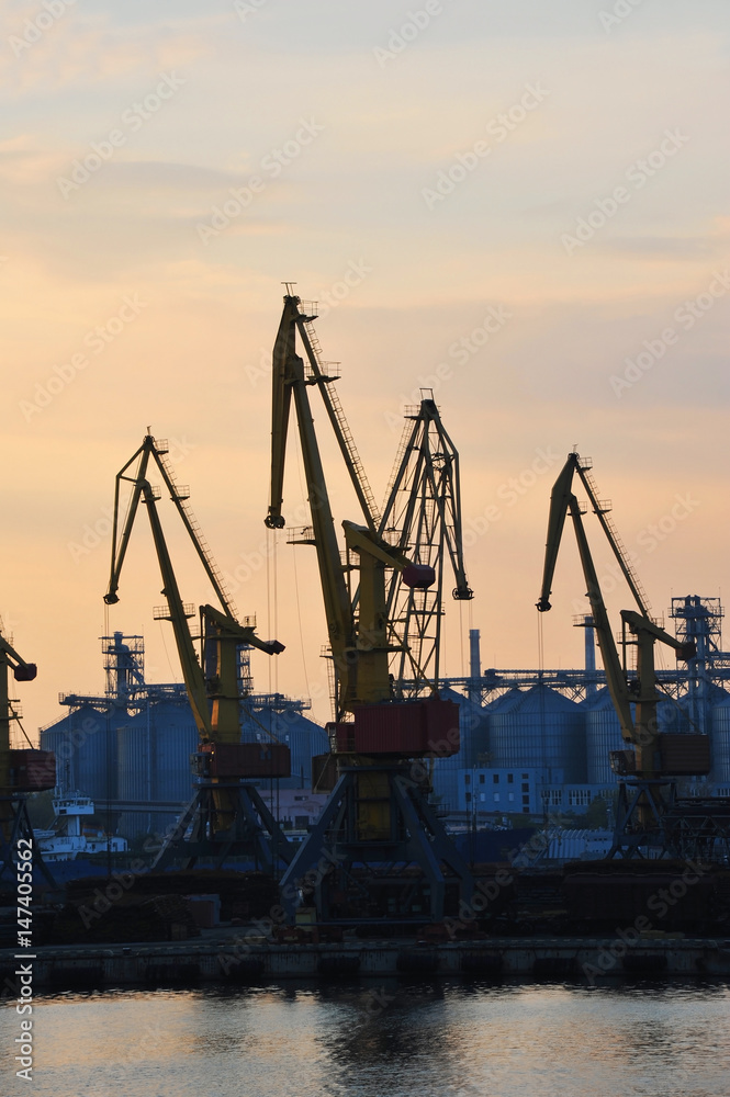 Port cargo crane at sunset