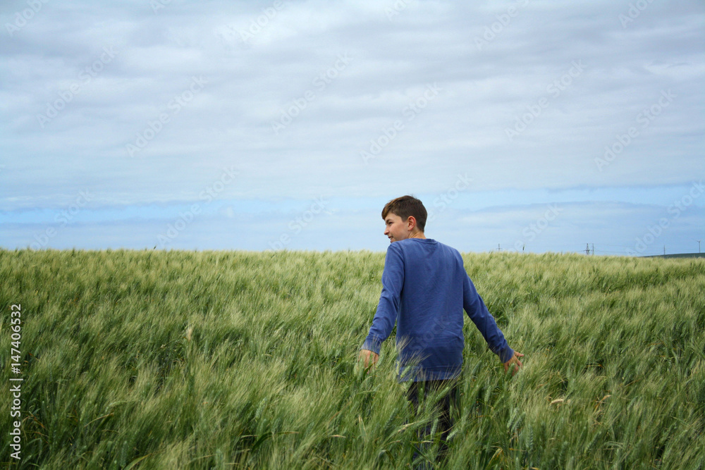 the boy in the blue sweater in the wheat field the boy in the blue sweater in the wheat field