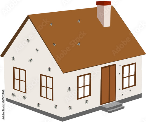 casa invasa da mosche 