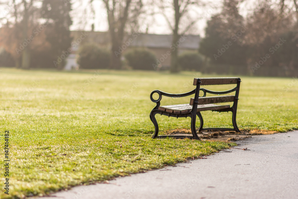 Day view empty bench in the autumn park