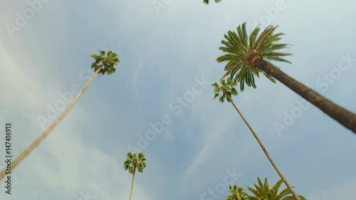 Driving through Beverly Hills palm trees with sun beam, California